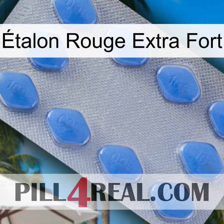 Étalon Rouge Extra Fort 21